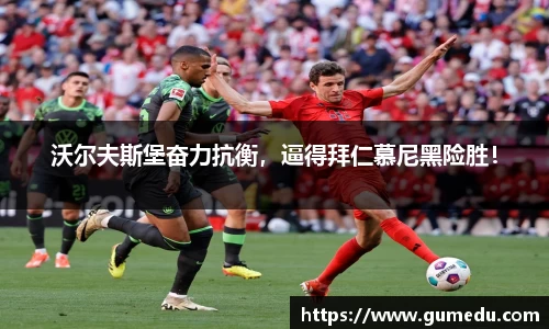 米兰体育官网