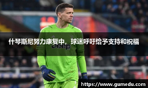 米兰体育官网