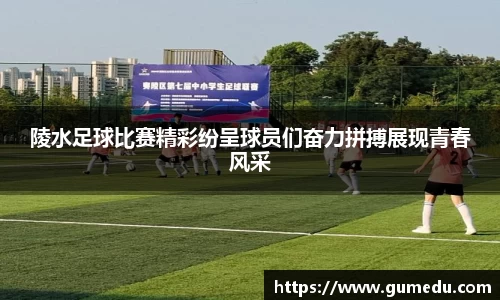 米兰体育官网