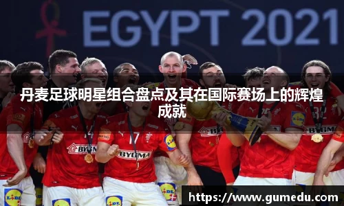 丹麦足球明星组合盘点及其在国际赛场上的辉煌成就