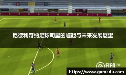 尼德利奇纳足球明星的崛起与未来发展展望