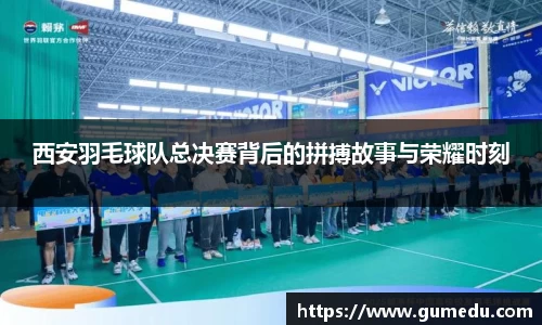 西安羽毛球队总决赛背后的拼搏故事与荣耀时刻